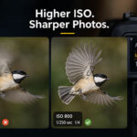 The Sharpness Tradeoff Most Photographers Get Wrong