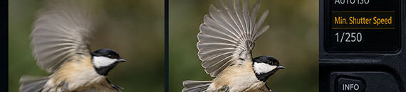 The Sharpness Tradeoff Most Photographers Get Wrong