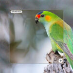 Sharper, Cleaner Photos for Half the Price